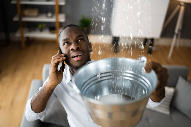 Best Water damage mitigation services  in Carnot Moon, PA