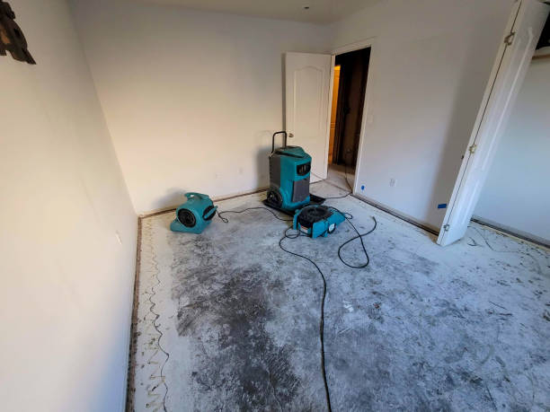 Best Water damage contractors near me  in Carnot Moon, PA