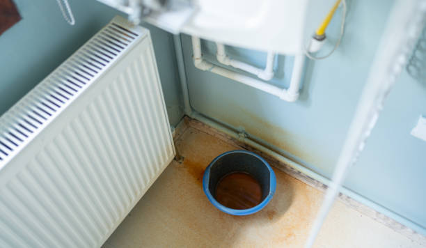 Best Carpet water damage restoration  in Carnot Moon, PA